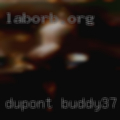 Dupont, buddy