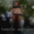 Handle swingers